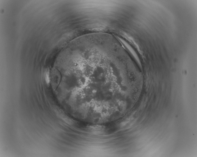 X0000089880069200706281400