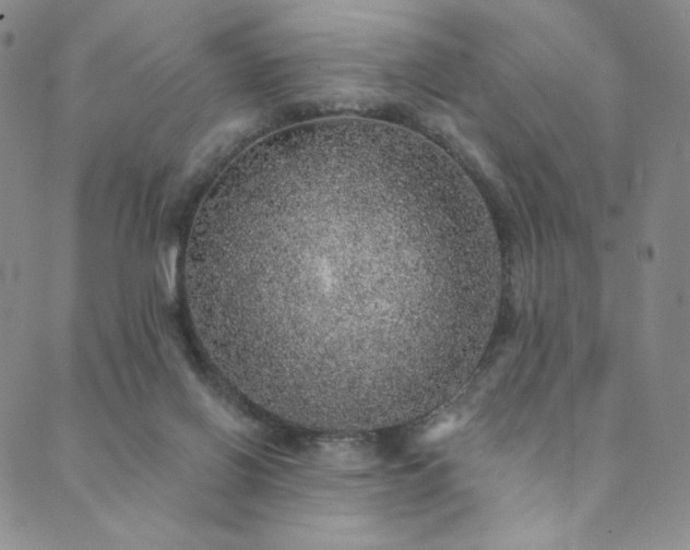 X0000089880070200706281400