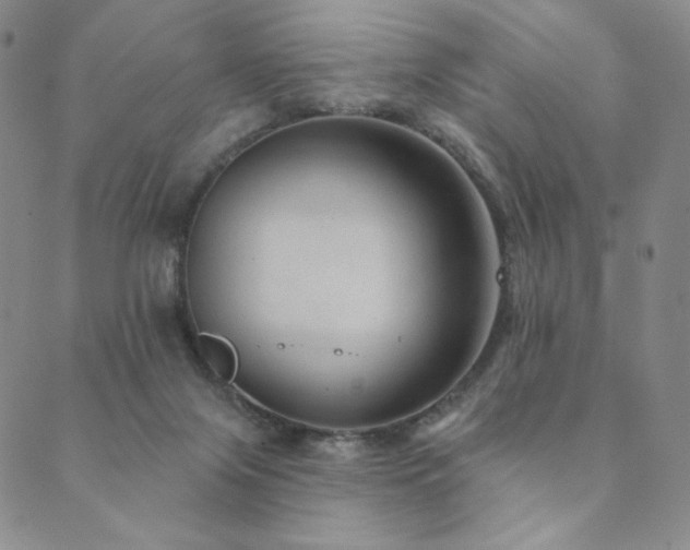 X0000089880071200706281400