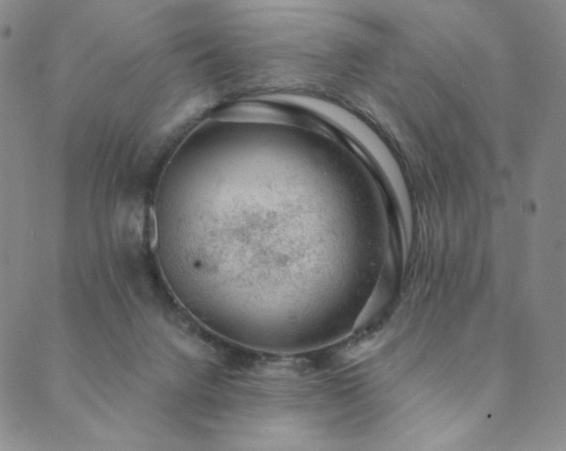 X0000089880072200706281400