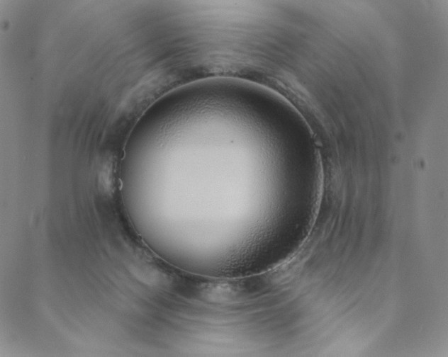 X0000089880074200706281400