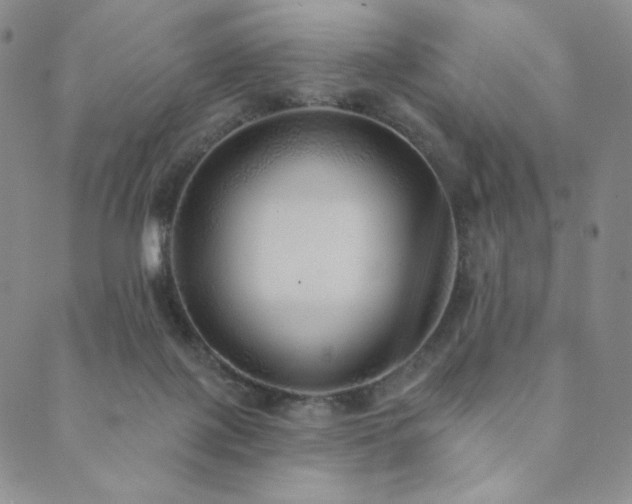 X0000089880075200706281400