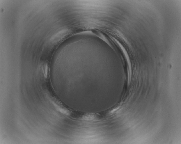 X0000089880076200706281400