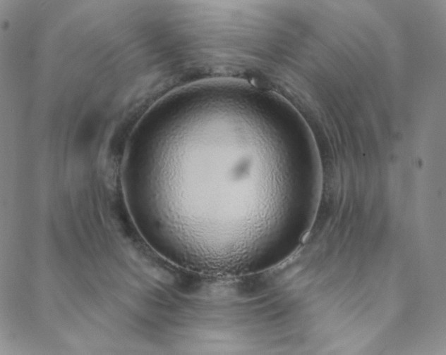 X0000089880078200706281400