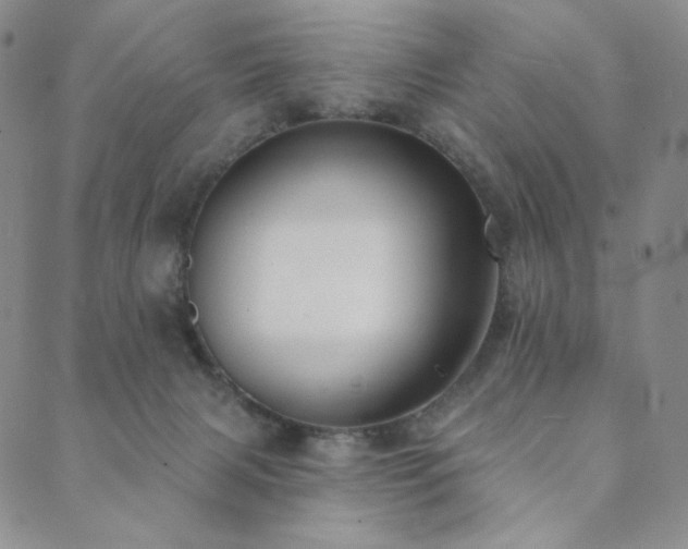 X0000089880079200706281400