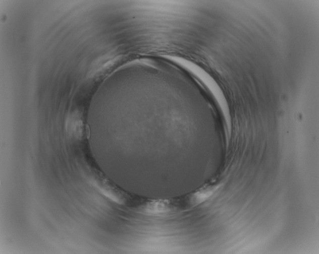 X0000089880080200706281400