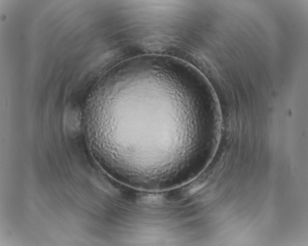 X0000089880081200706281400