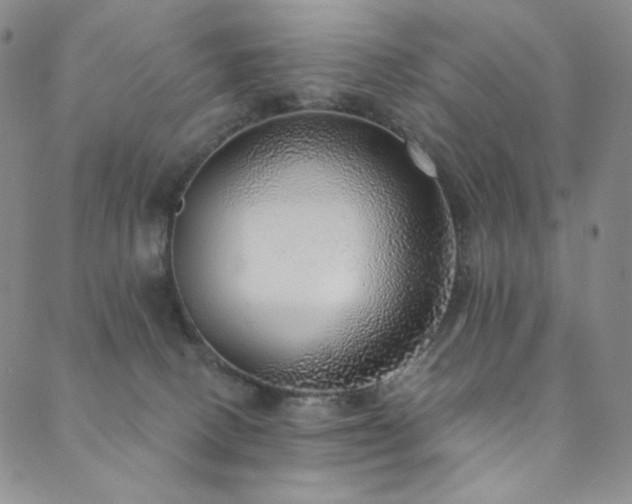 X0000089880082200706281400