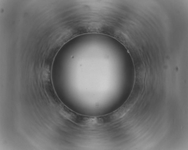 X0000089880083200706281400