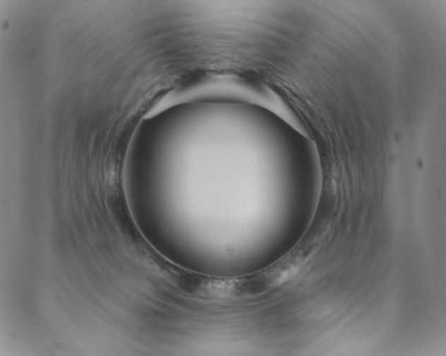 X0000089880084200706281400