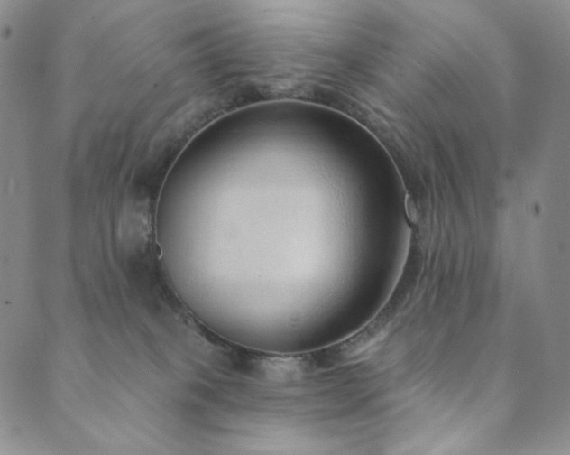 X0000089880085200706281400