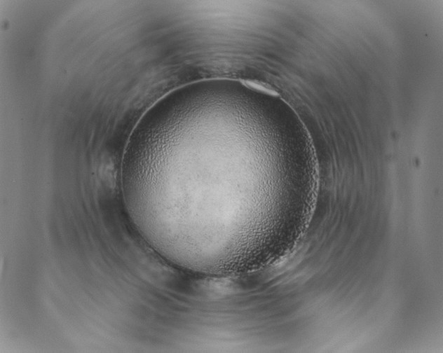 X0000089880086200706281400