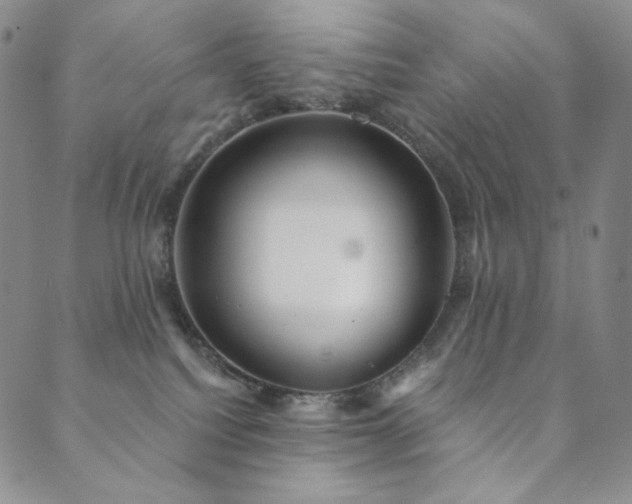 X0000089880088200706281400