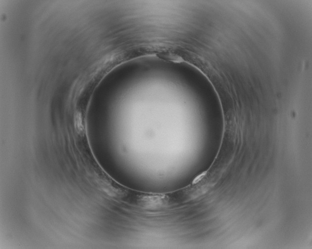 X0000089880089200706281400