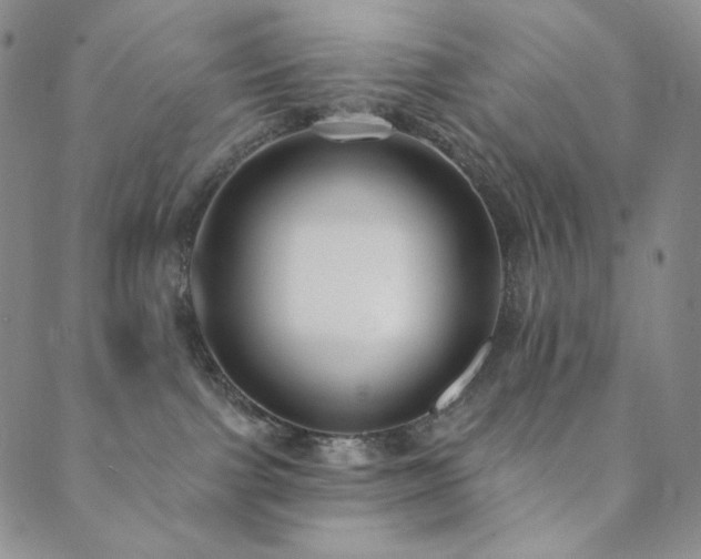 X0000089880091200706281400