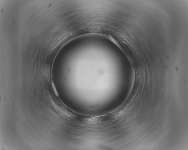 X0000089880092200706281400