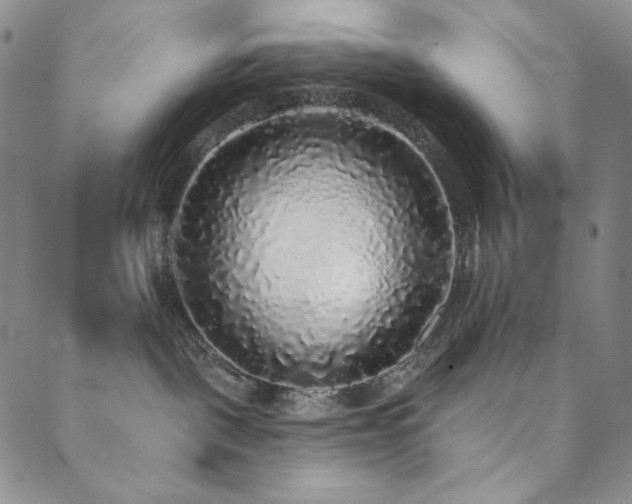 X0000089880093200706281400