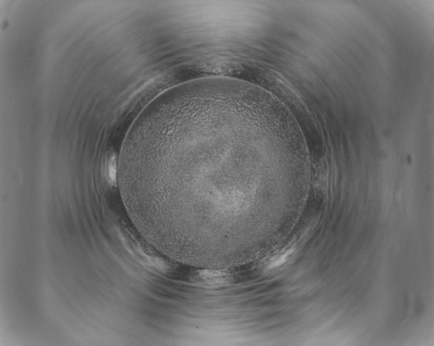 X0000089880095200706281400