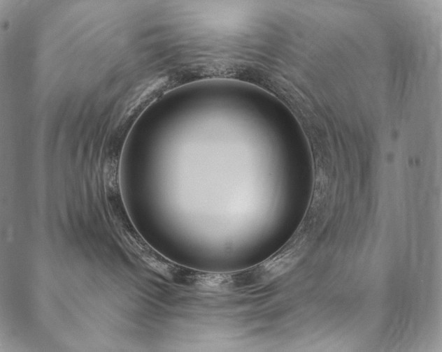 X0000089880096200706281400