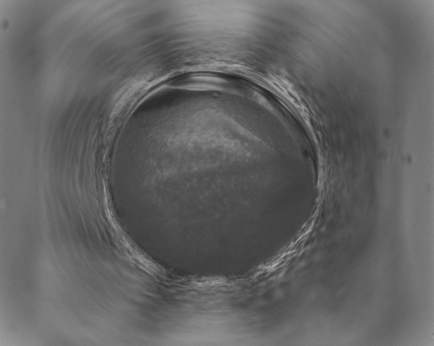 X0000089880097200706281400