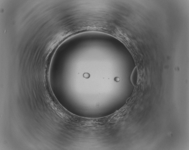 X0000089880098200706281400