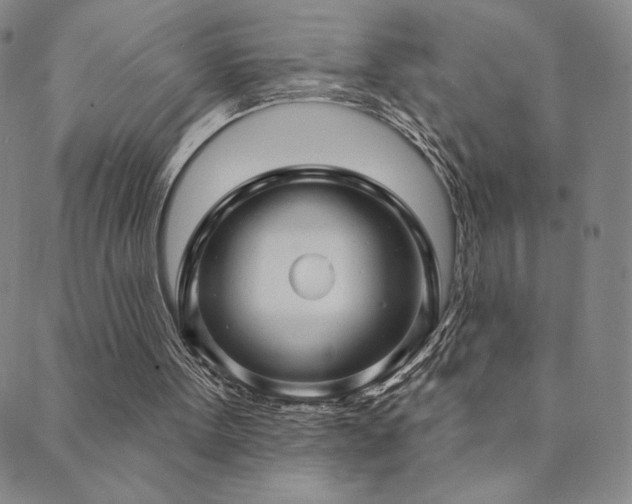 X0000089880099200706281359