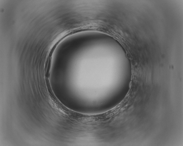 X0000089880100200706281359