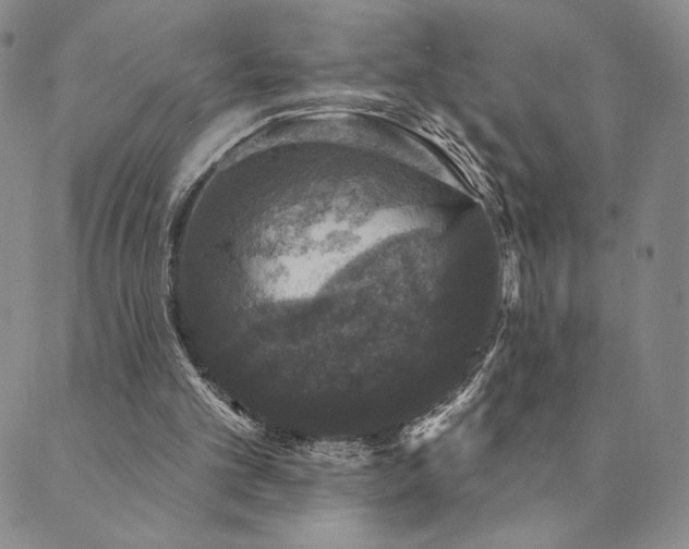 X0000089880101200706281359