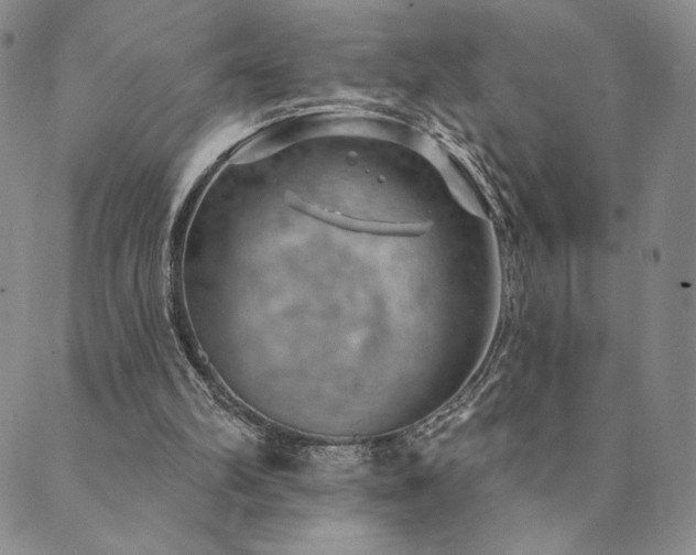 X0000089880102200706281359