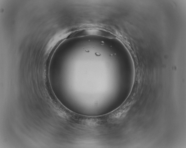 X0000089880103200706281359