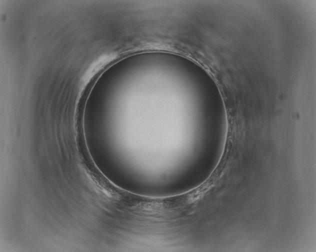 X0000089880104200706281359