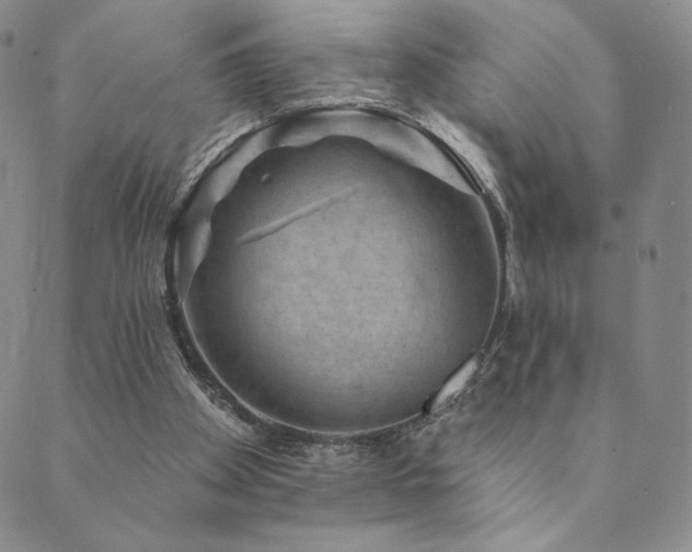 X0000089880105200706281359