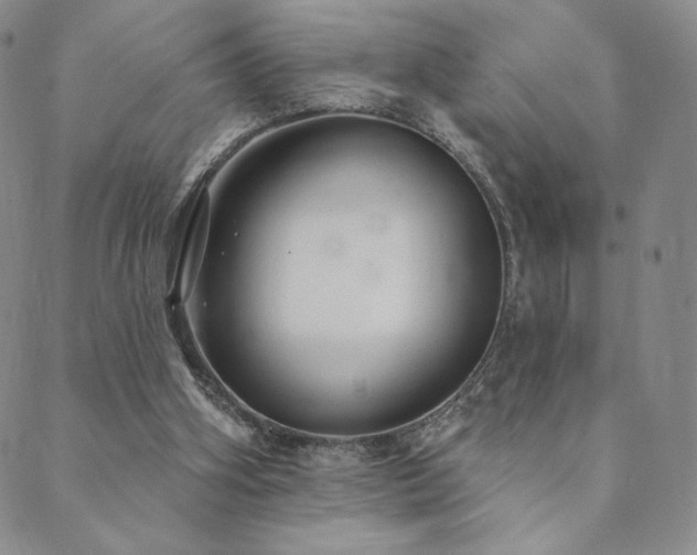 X0000089880106200706281359