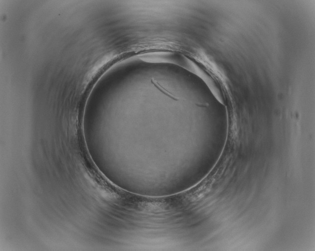 X0000089880107200706281359