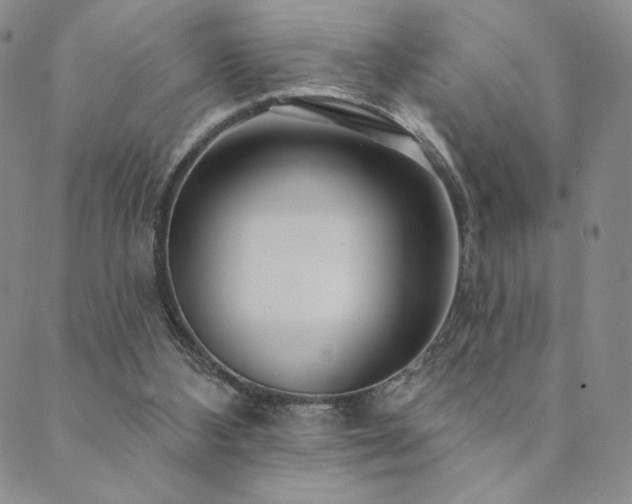 X0000089880108200706281359