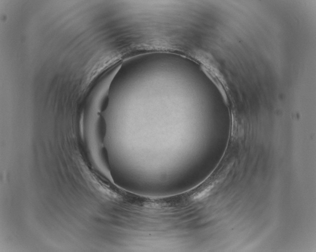 X0000089880109200706281359