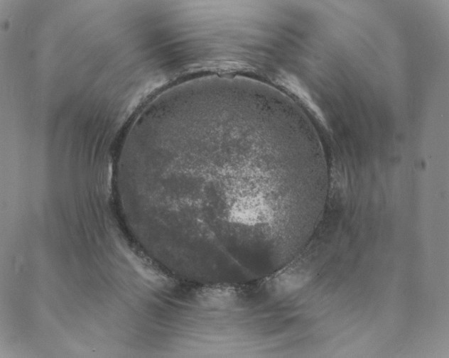 X0000089880110200706281359