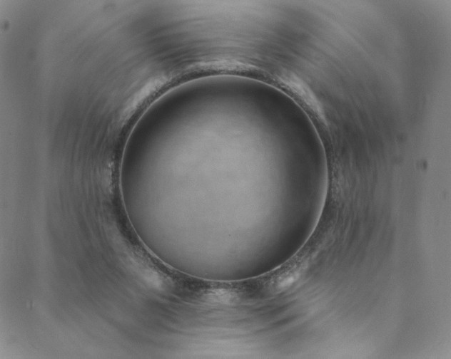 X0000089880111200706281359