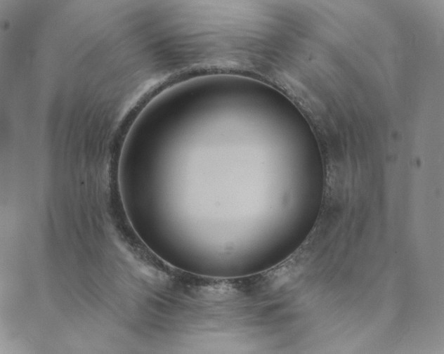 X0000089880112200706281359