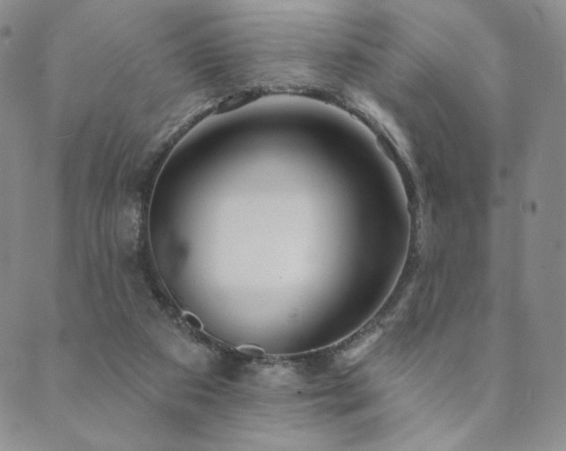 X0000089880113200706281359