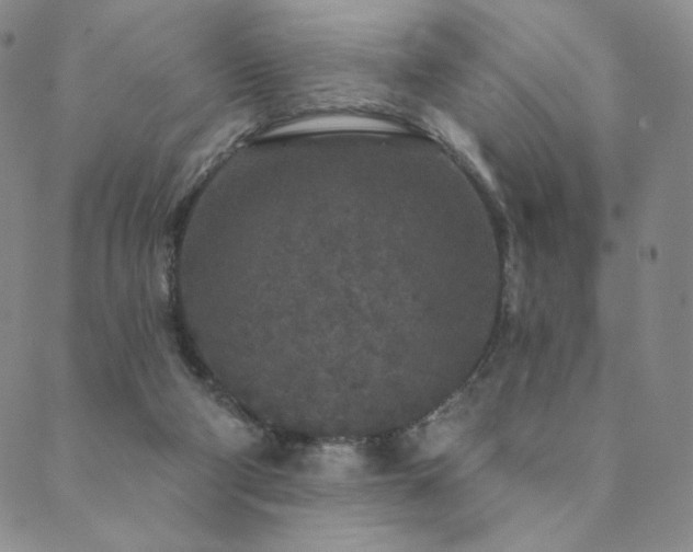 X0000089880114200706281359