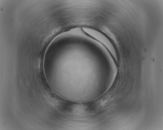 X0000089880115200706281359