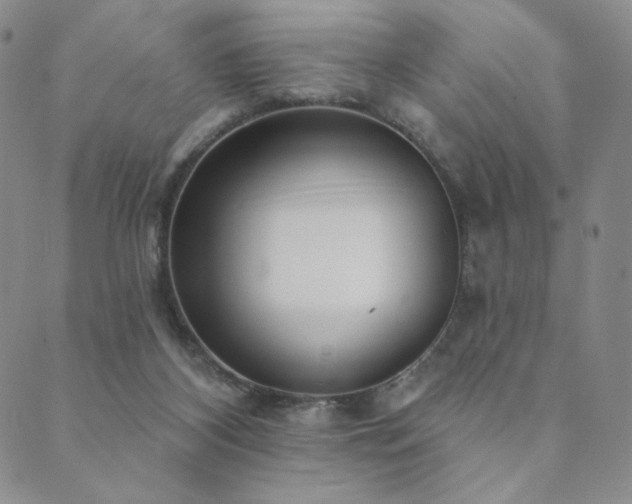 X0000089880116200706281359