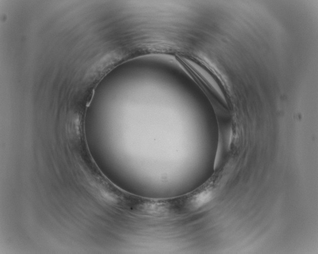 X0000089880117200706281359