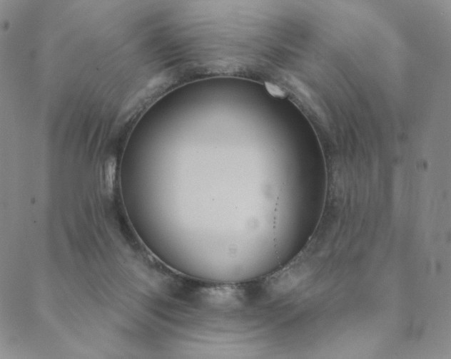 X0000089880118200706281359