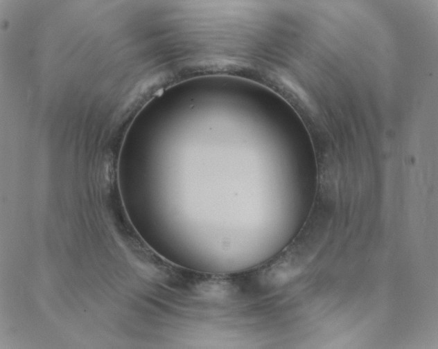 X0000089880119200706281359