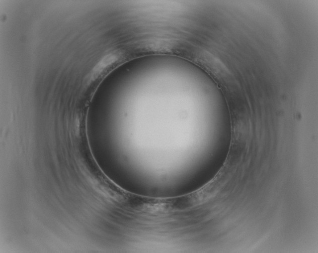 X0000089880120200706281359