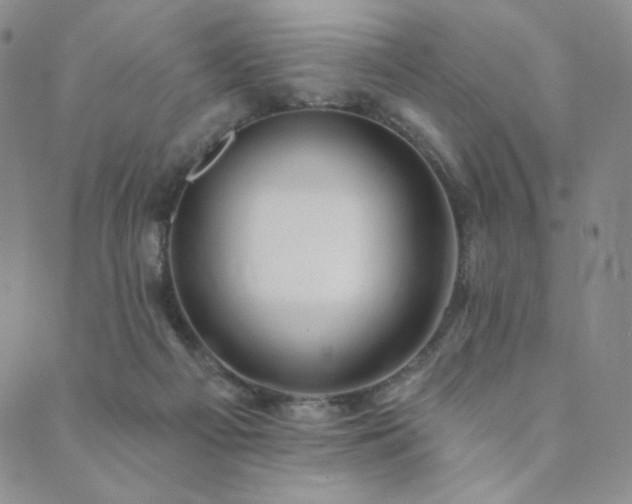 X0000089880121200706281359