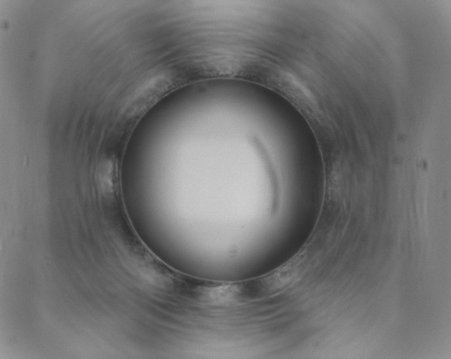 X0000089880122200706281359