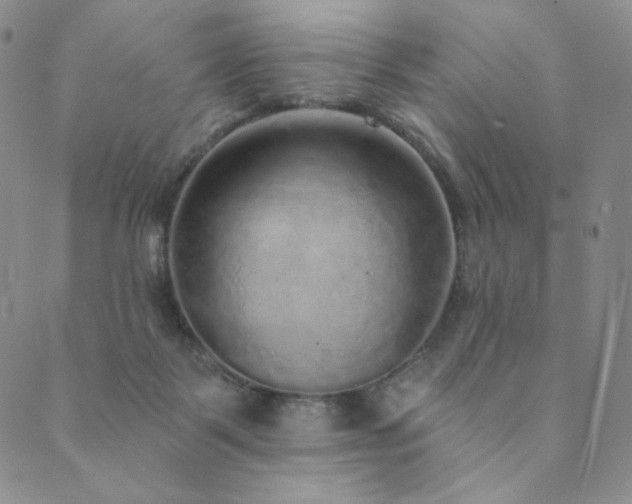 X0000089880123200706281359